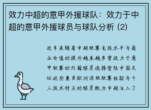 效力中超的意甲外援球队：效力于中超的意甲外援球员与球队分析 (2)